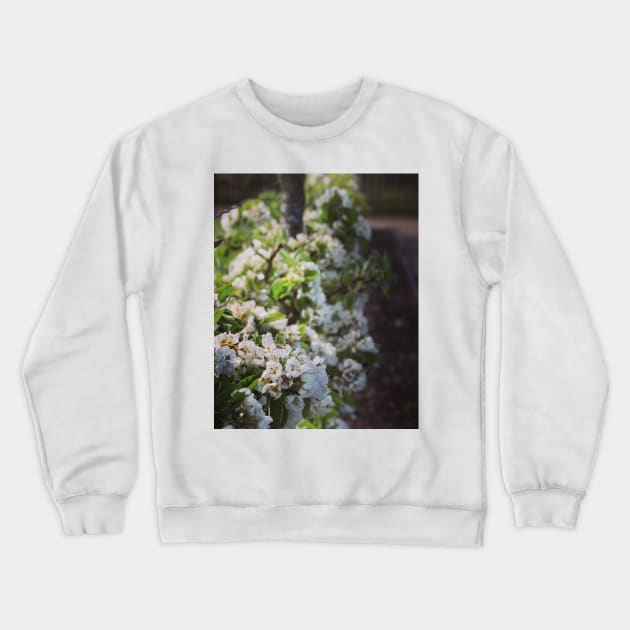 Apple blossom Crewneck Sweatshirt by Jonesyinc